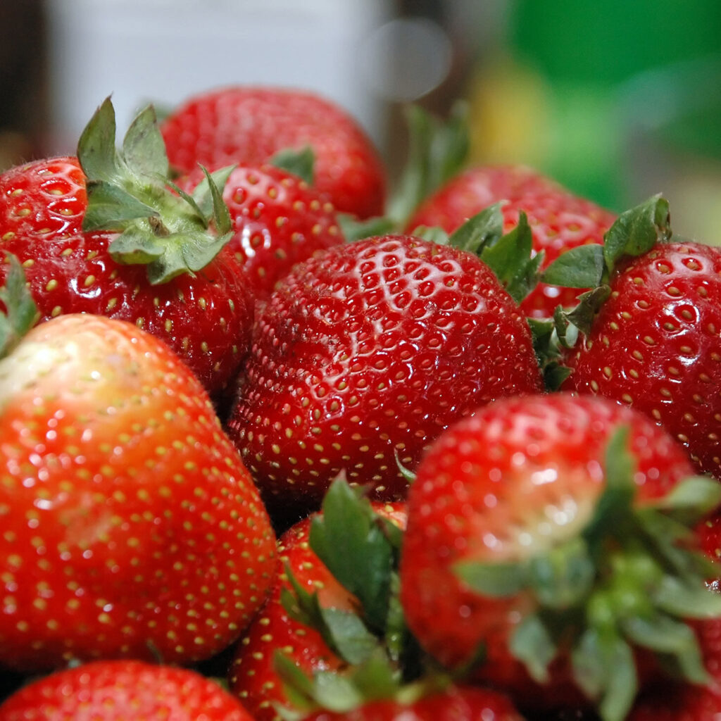 STRAWBERRIES are now ready for picking
