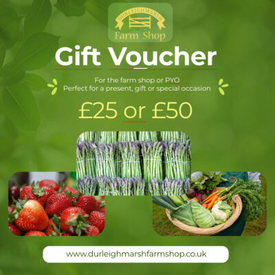 Vouchers
